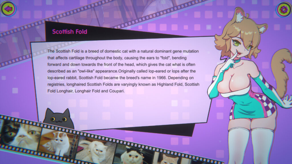 Miss Neko game